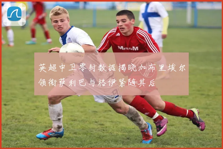 英超中卫零封数据揭晓加布里埃尔领衔萨利巴与格伊紧随其后